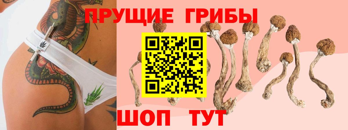 Псилоцибиновые грибы Magic Shrooms Торжок